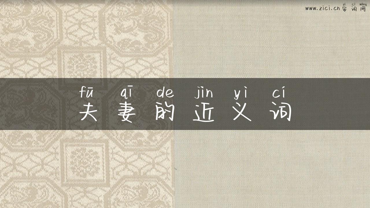 夫妻的近义词