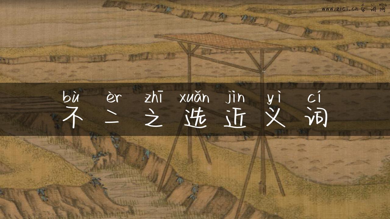 不二之选近义词