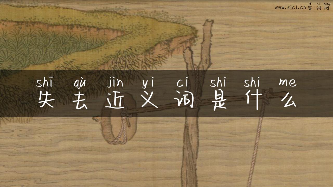 失去近义词是什么