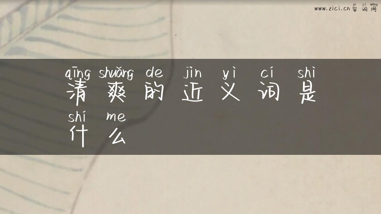清爽的近义词是什么