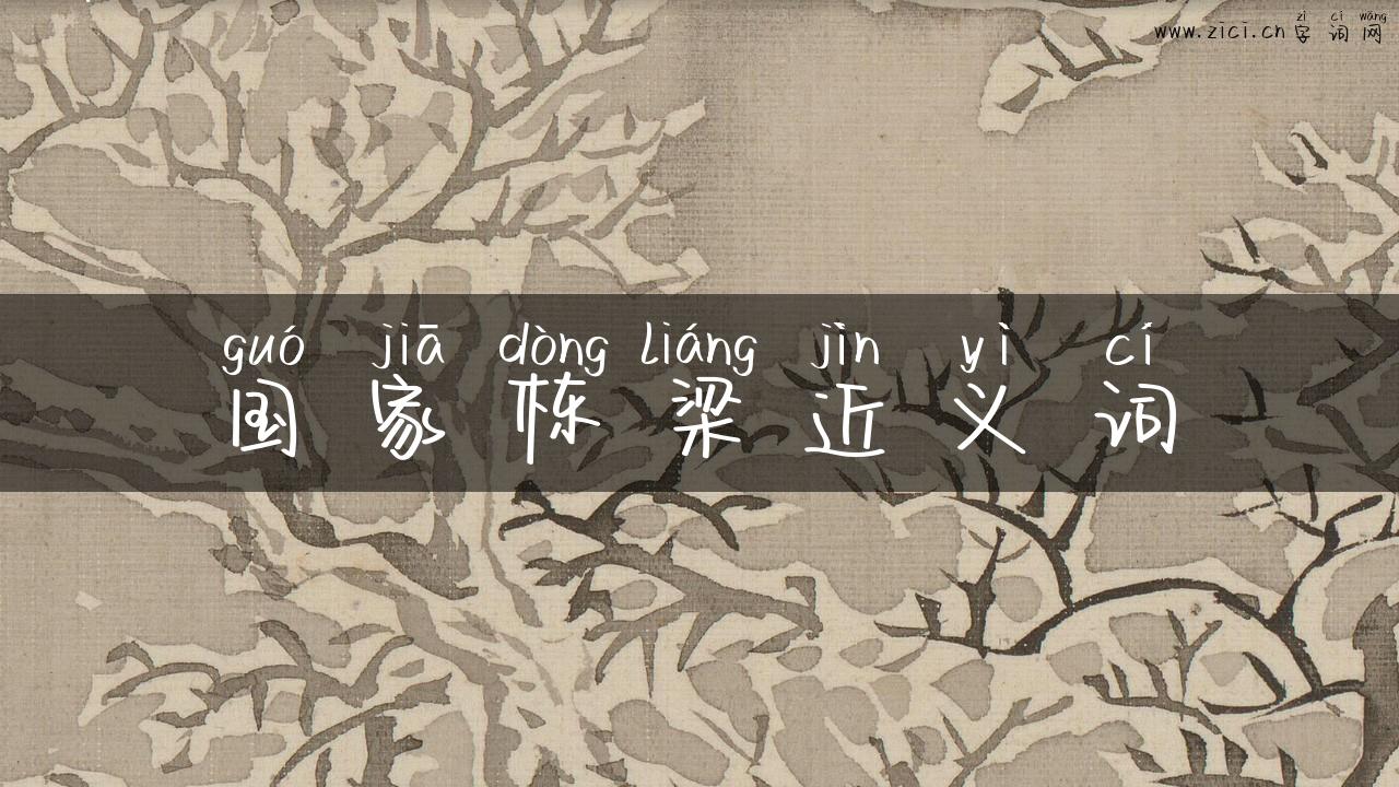国家栋梁近义词