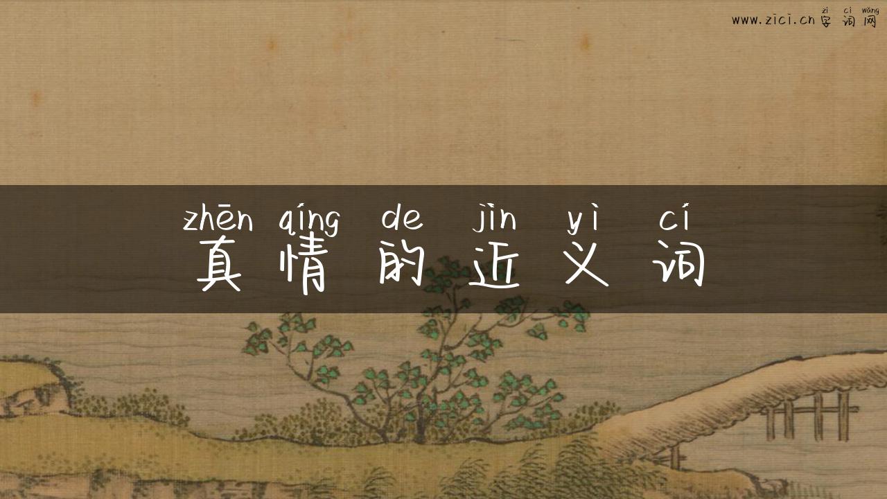 真情的近义词