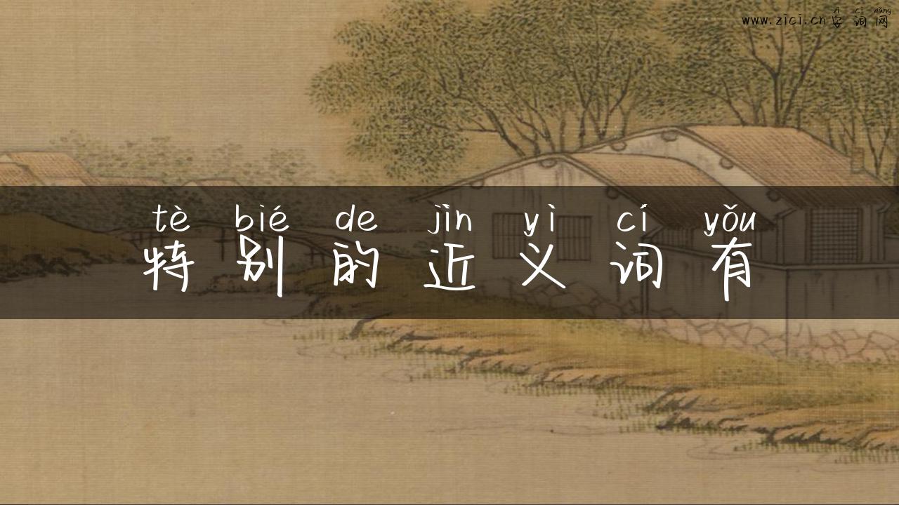 特别的近义词有