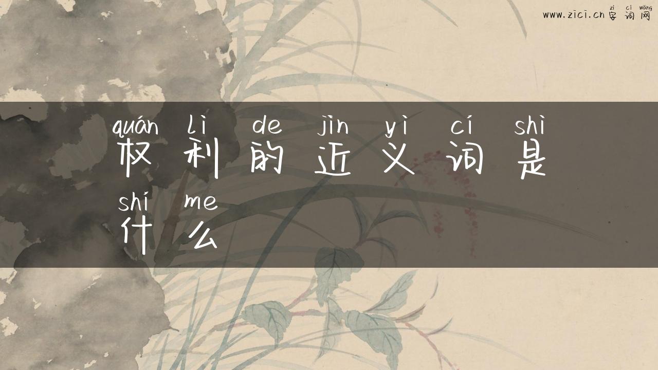 权利的近义词是什么