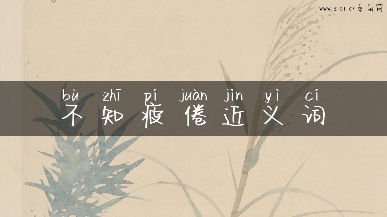 不知疲倦近义词