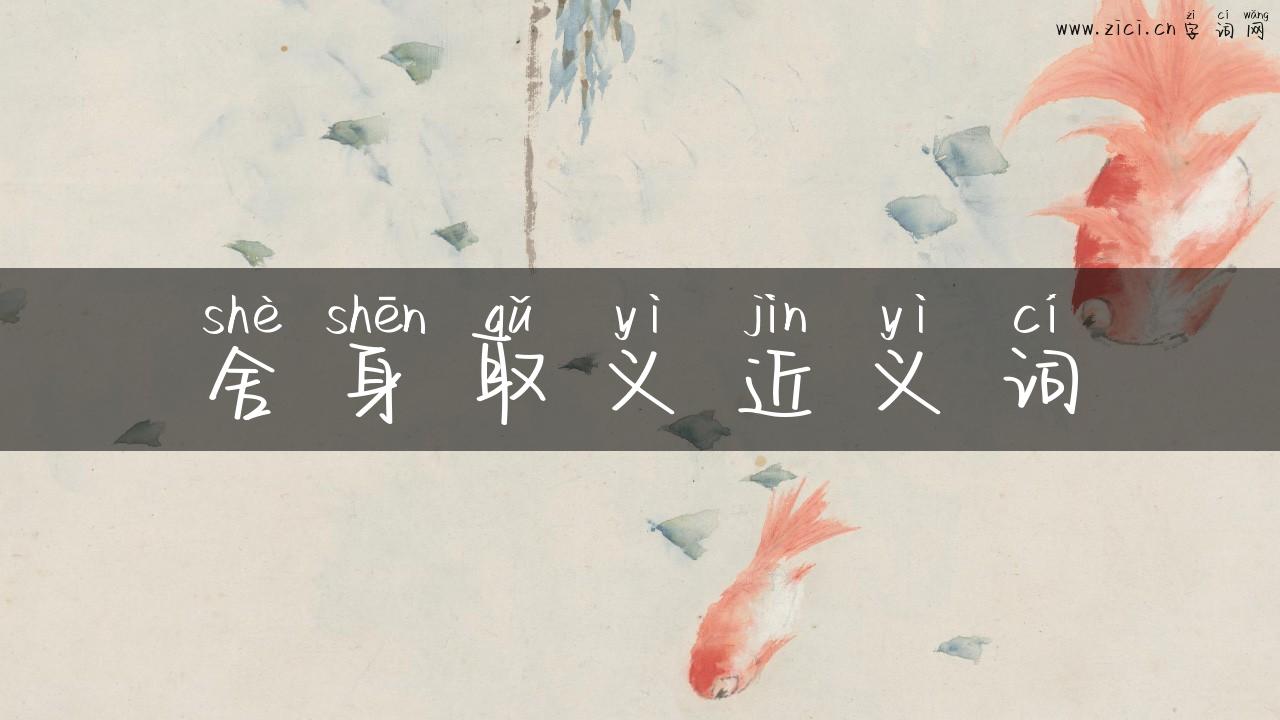 舍身取义近义词