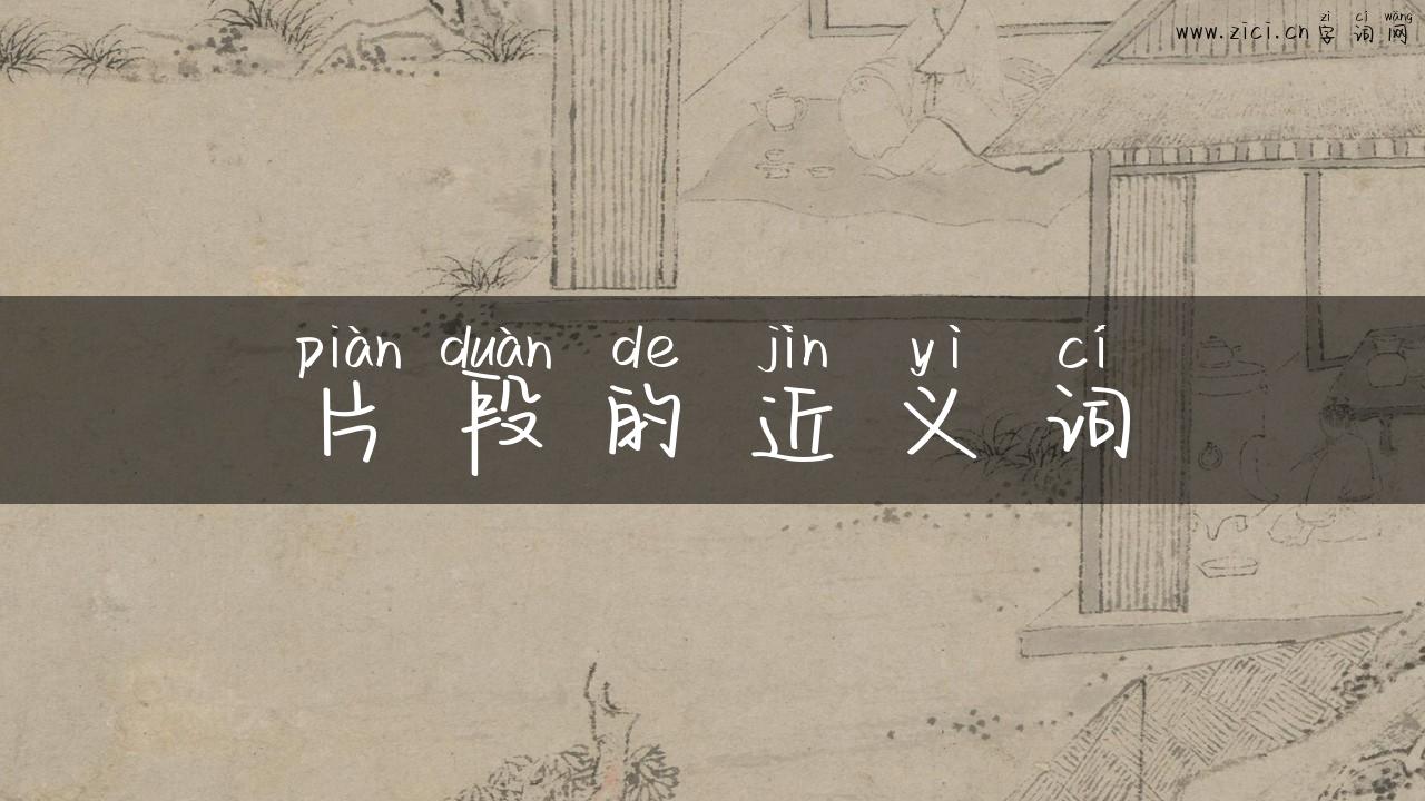 片段的近义词