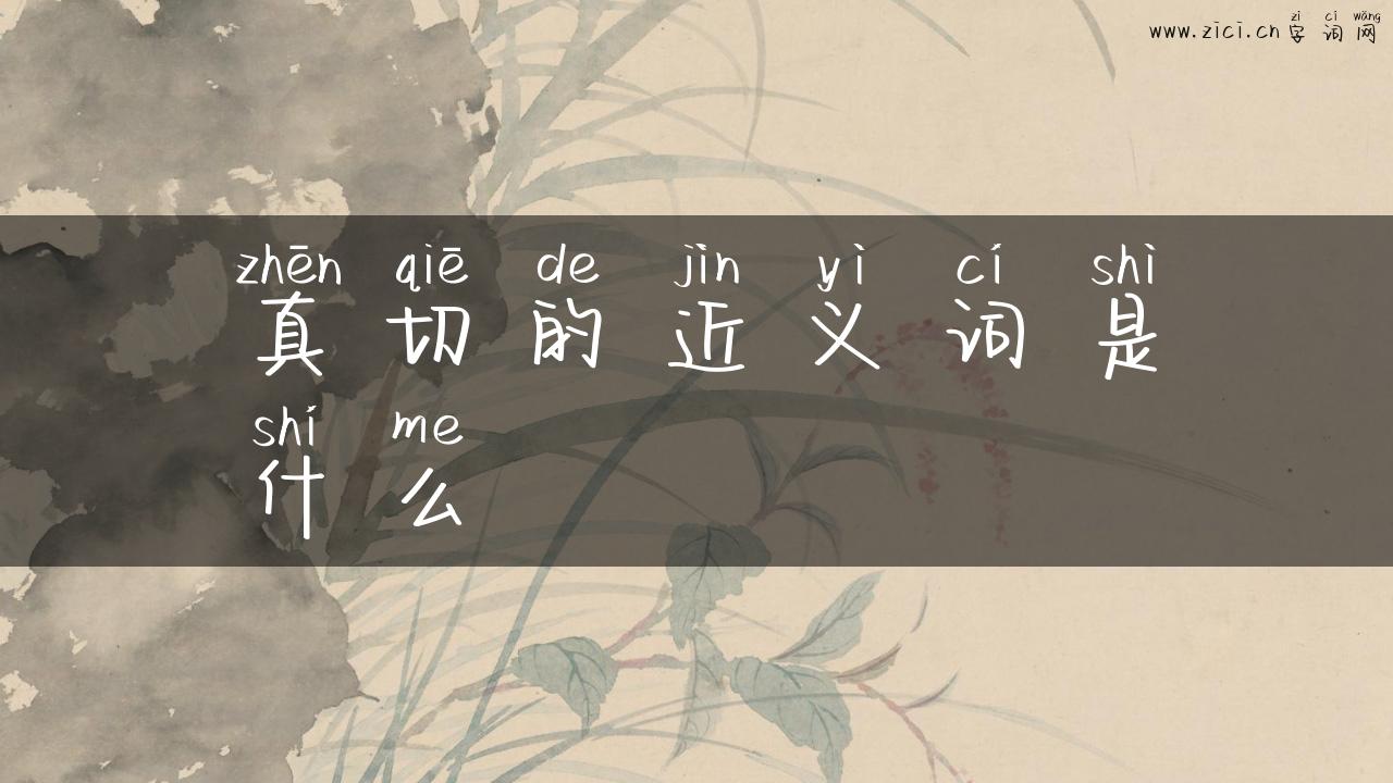 真切的近义词是什么