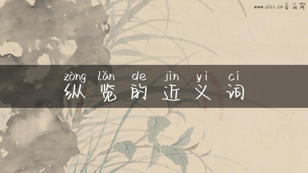 纵览的近义词
