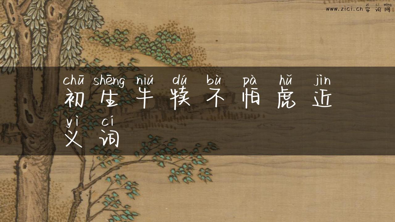 初生牛犊不怕虎近义词