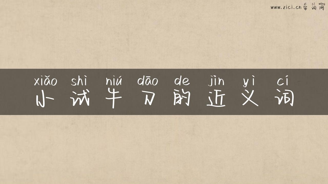 小试牛刀的近义词