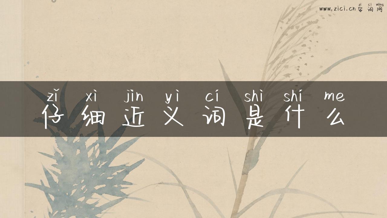 仔细近义词是什么