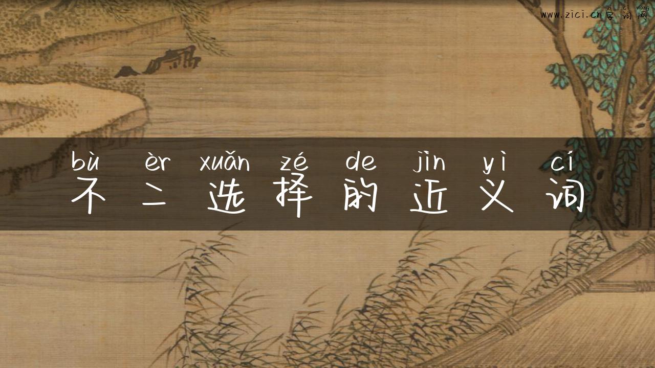 不二选择的近义词