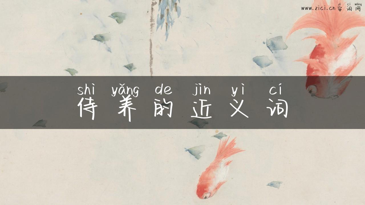 侍养的近义词