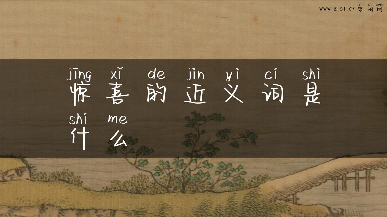 惊喜的近义词是什么