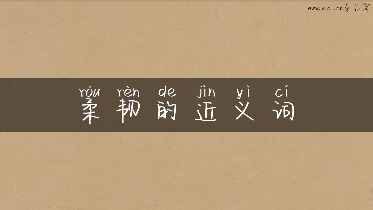 柔韧的近义词