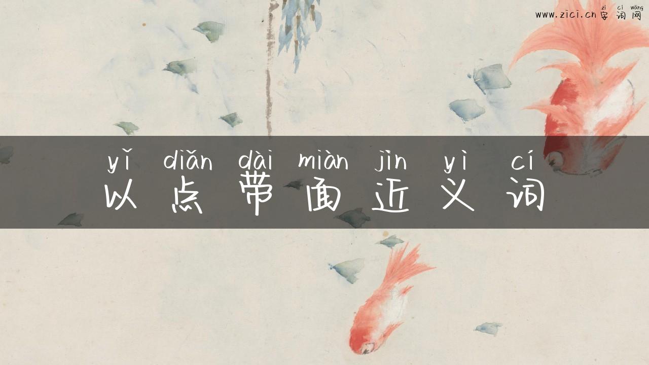 以点带面近义词