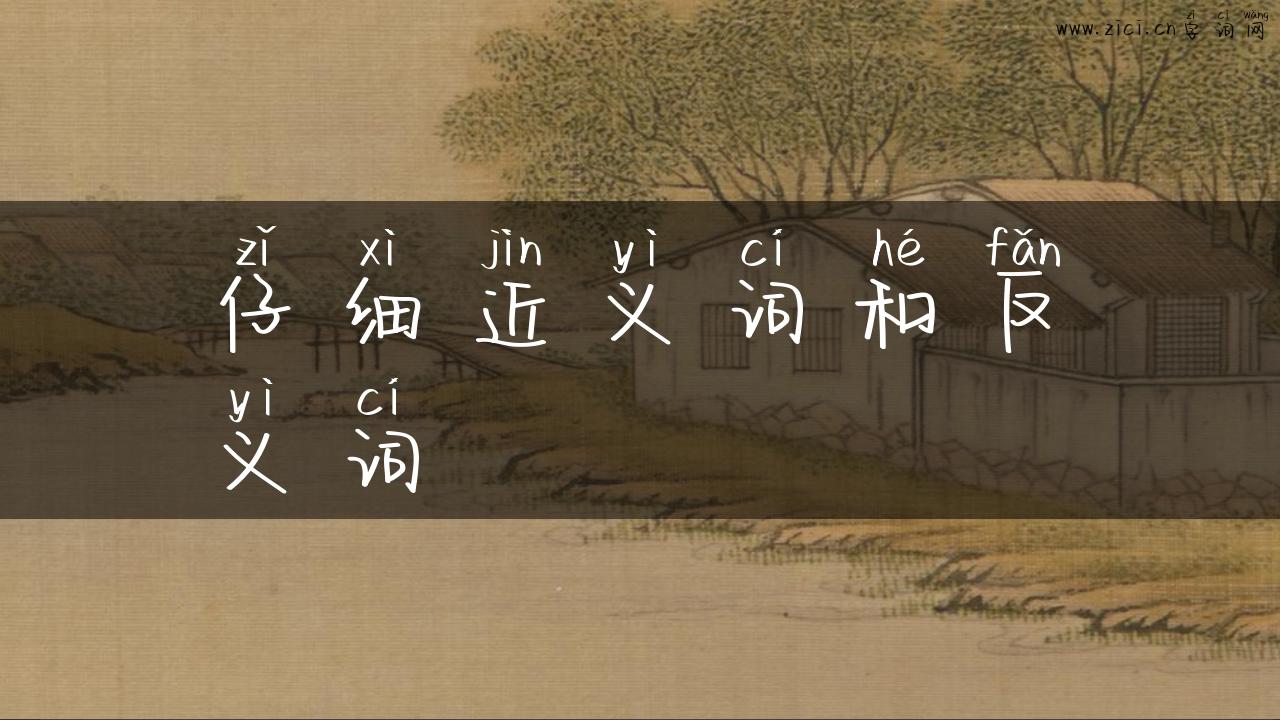 仔细近义词和反义词