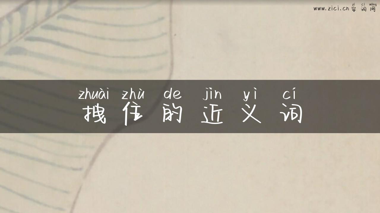 拽住的近义词