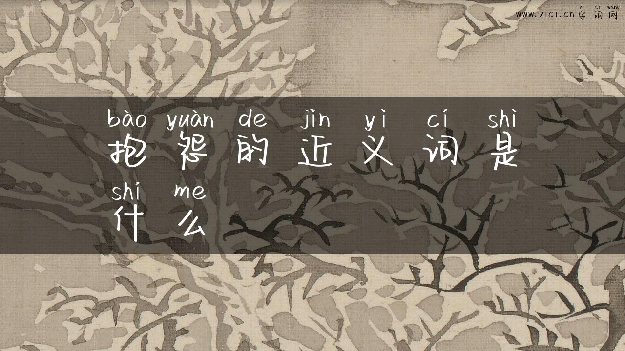 抱怨的近义词是什么