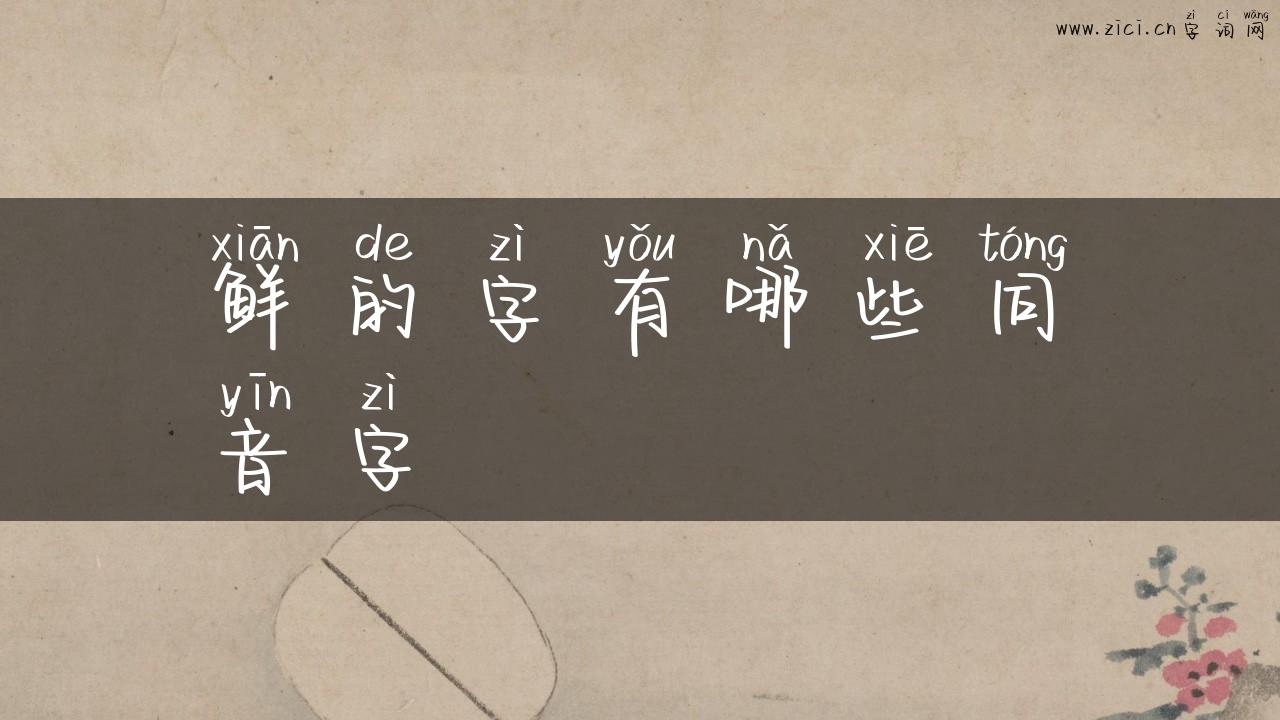 鲜的字有哪些同音字