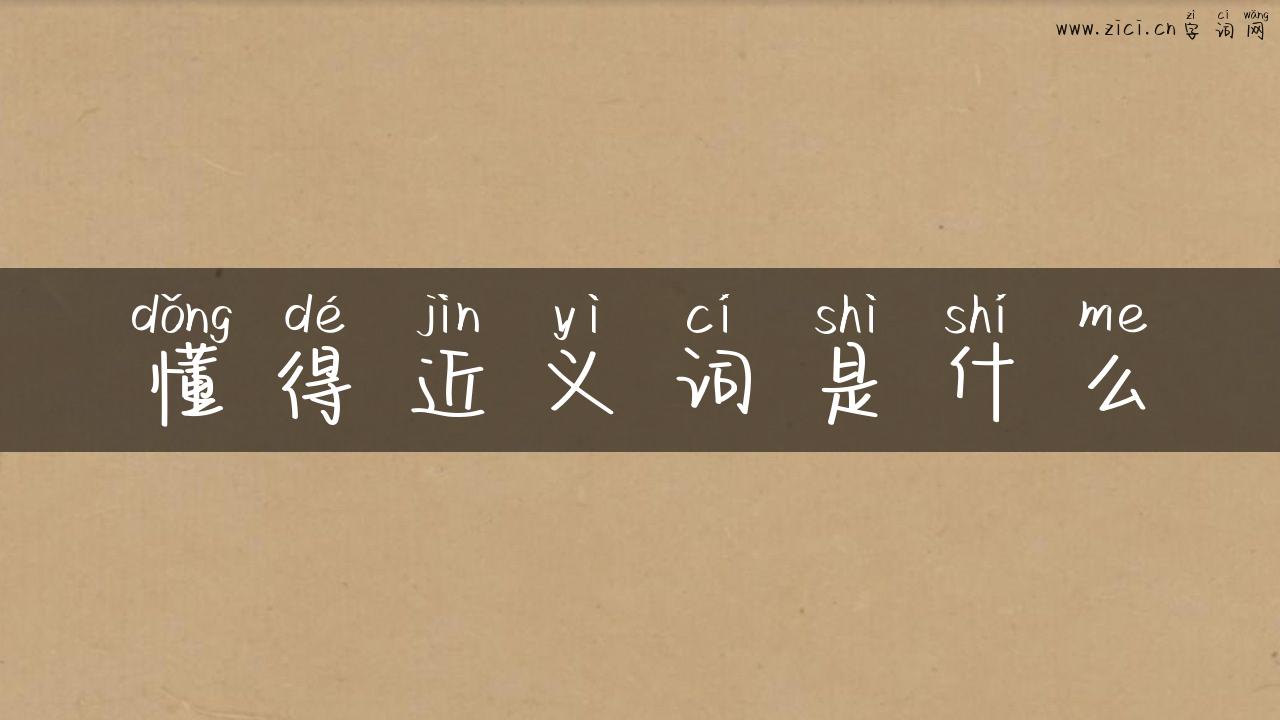 懂得近义词是什么