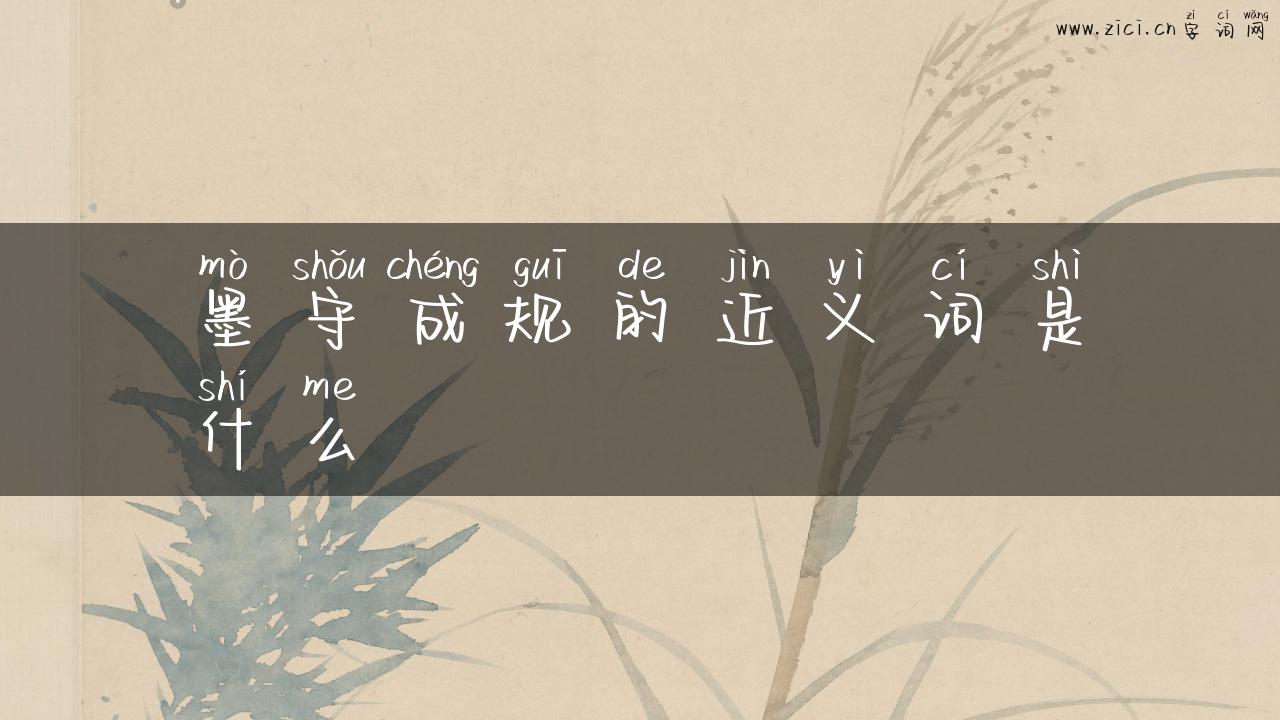 墨守成规的近义词是什么