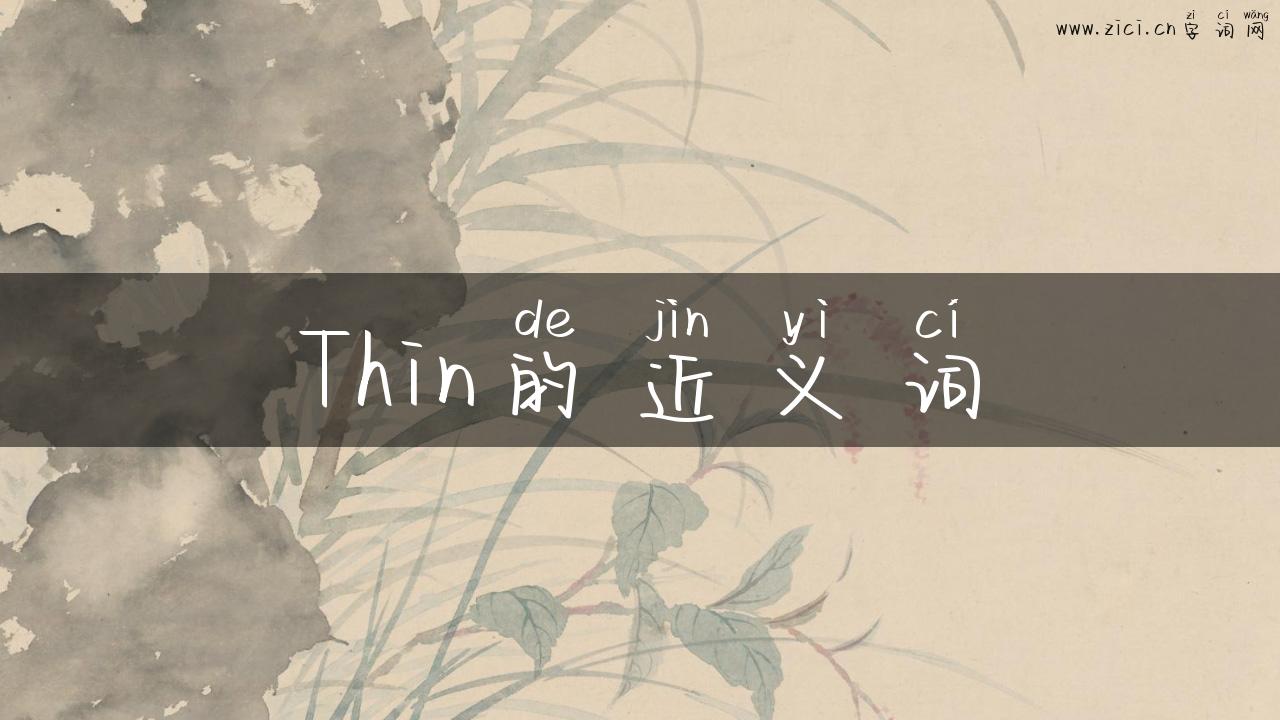 Thin的近义词