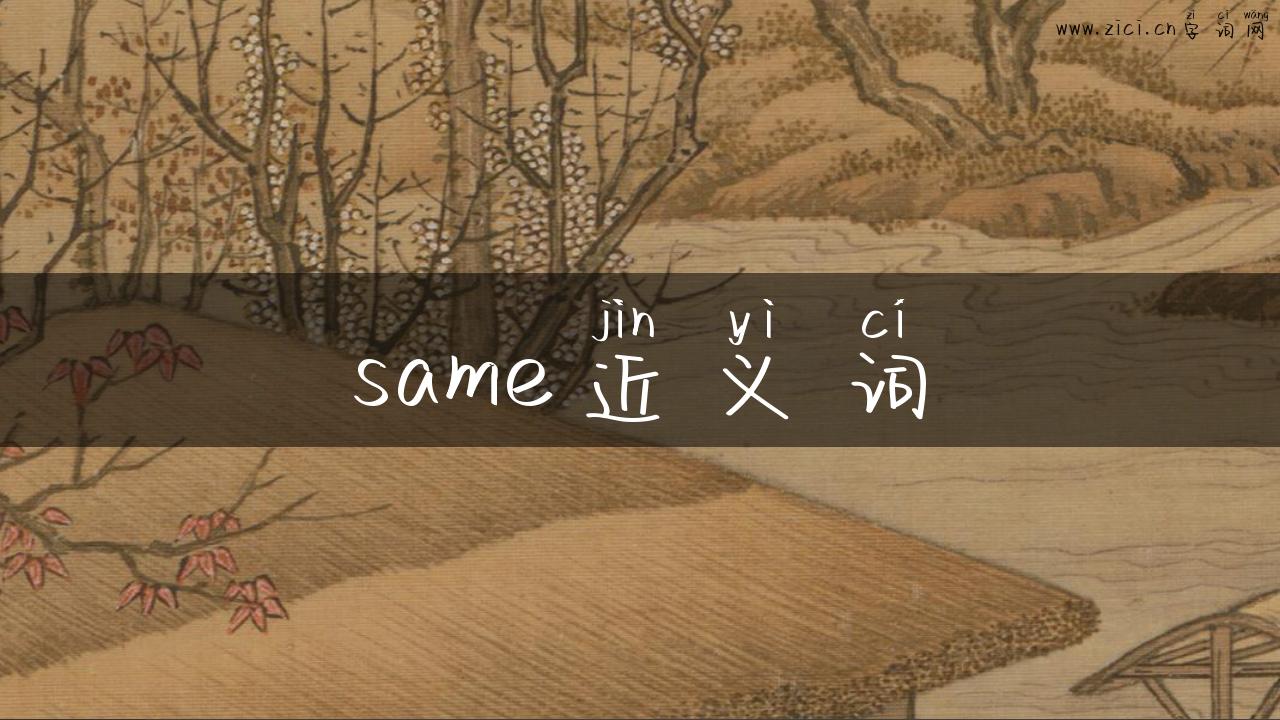 same近义词