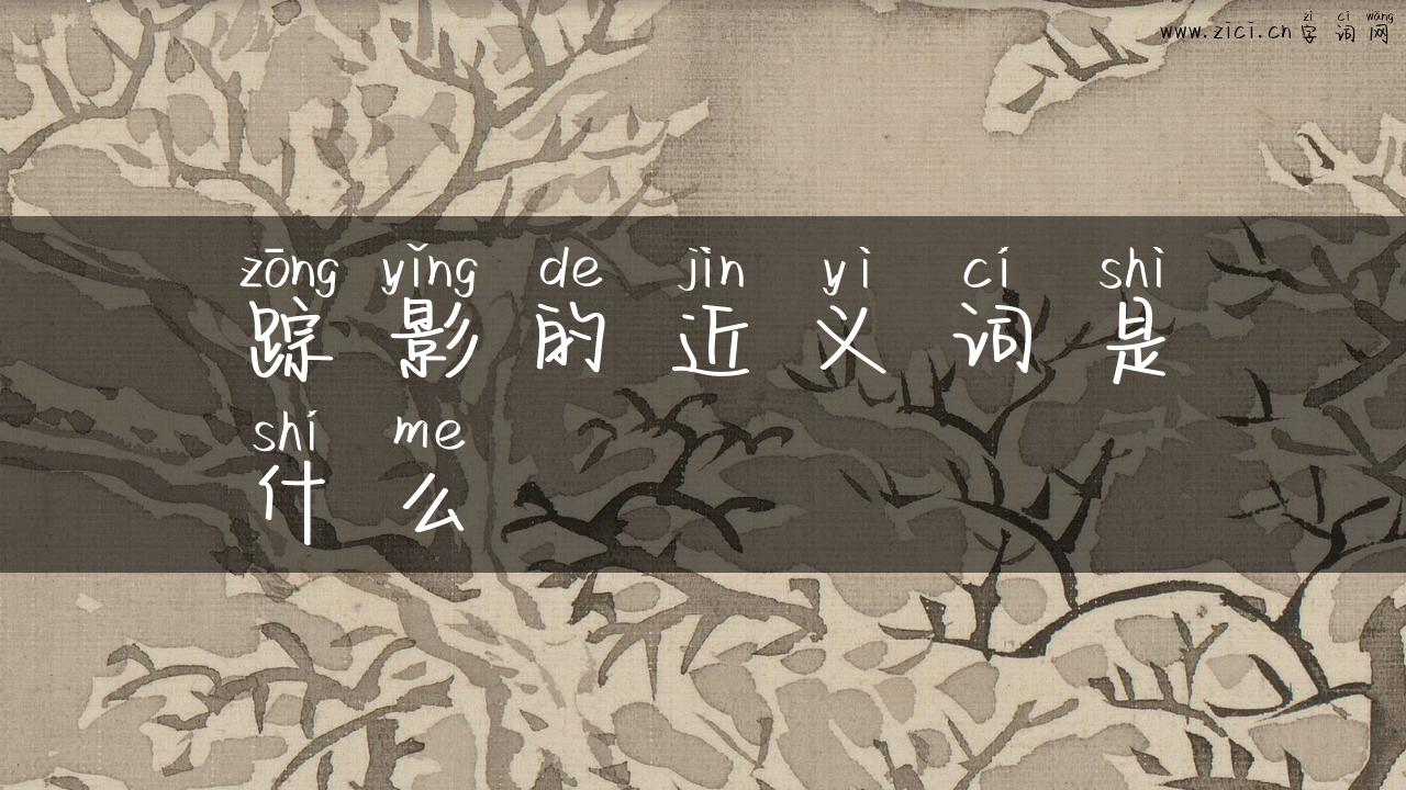 踪影的近义词是什么