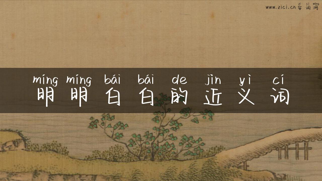 明明白白的近义词