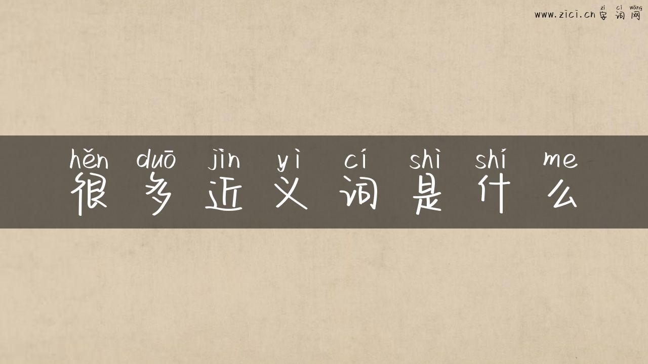 很多近义词是什么