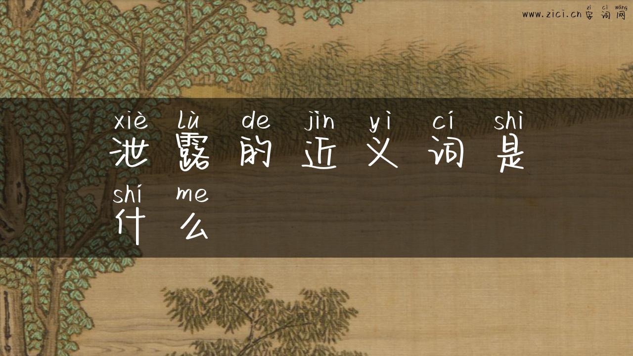 泄露的近义词是什么