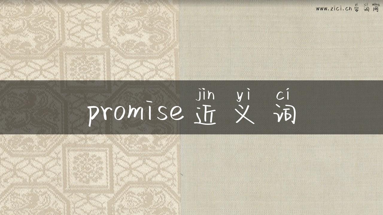 promise近义词