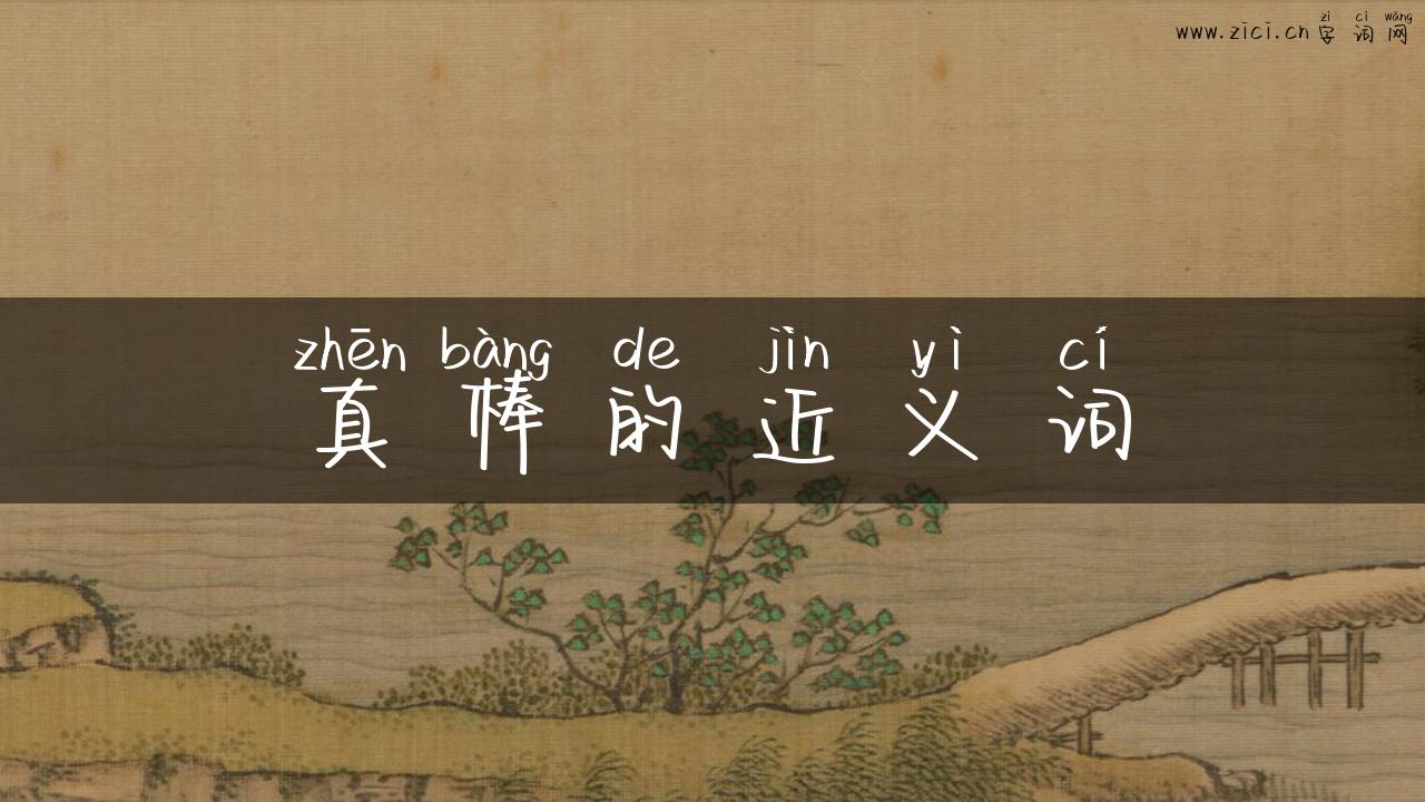 真棒的近义词