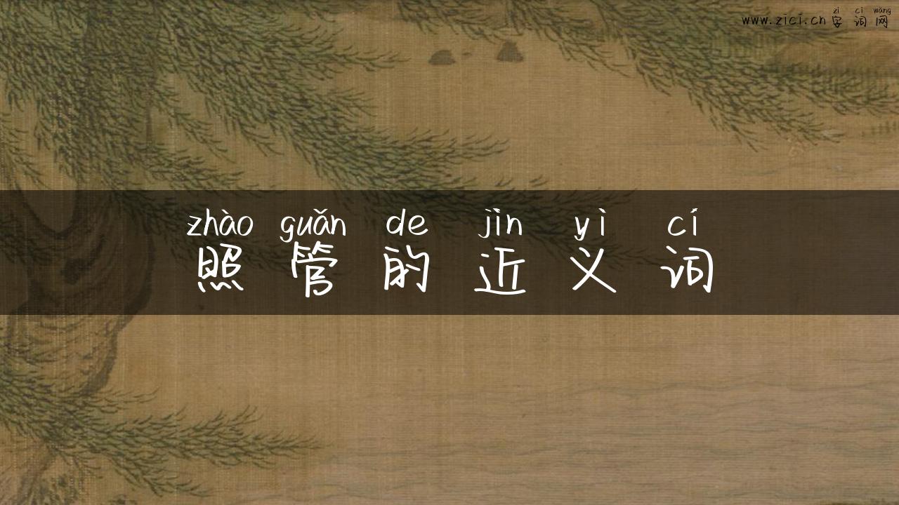 照管的近义词