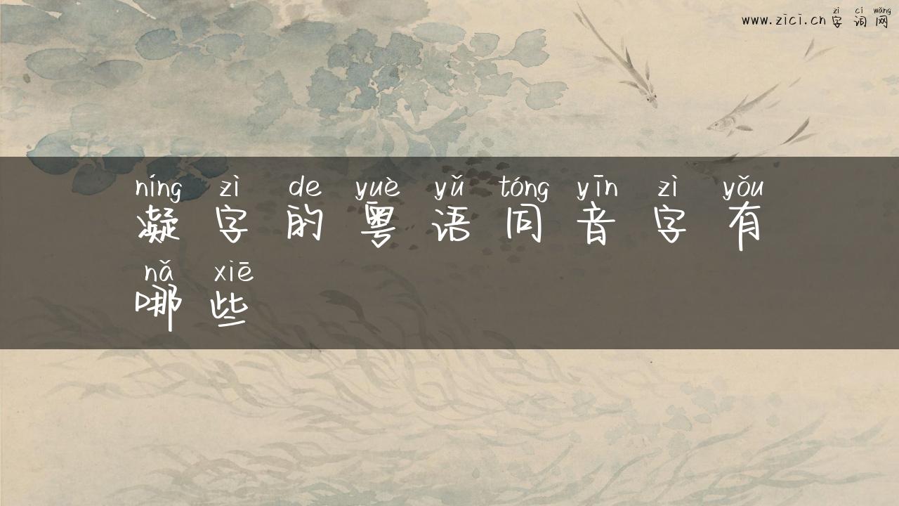 凝字的粤语同音字有哪些