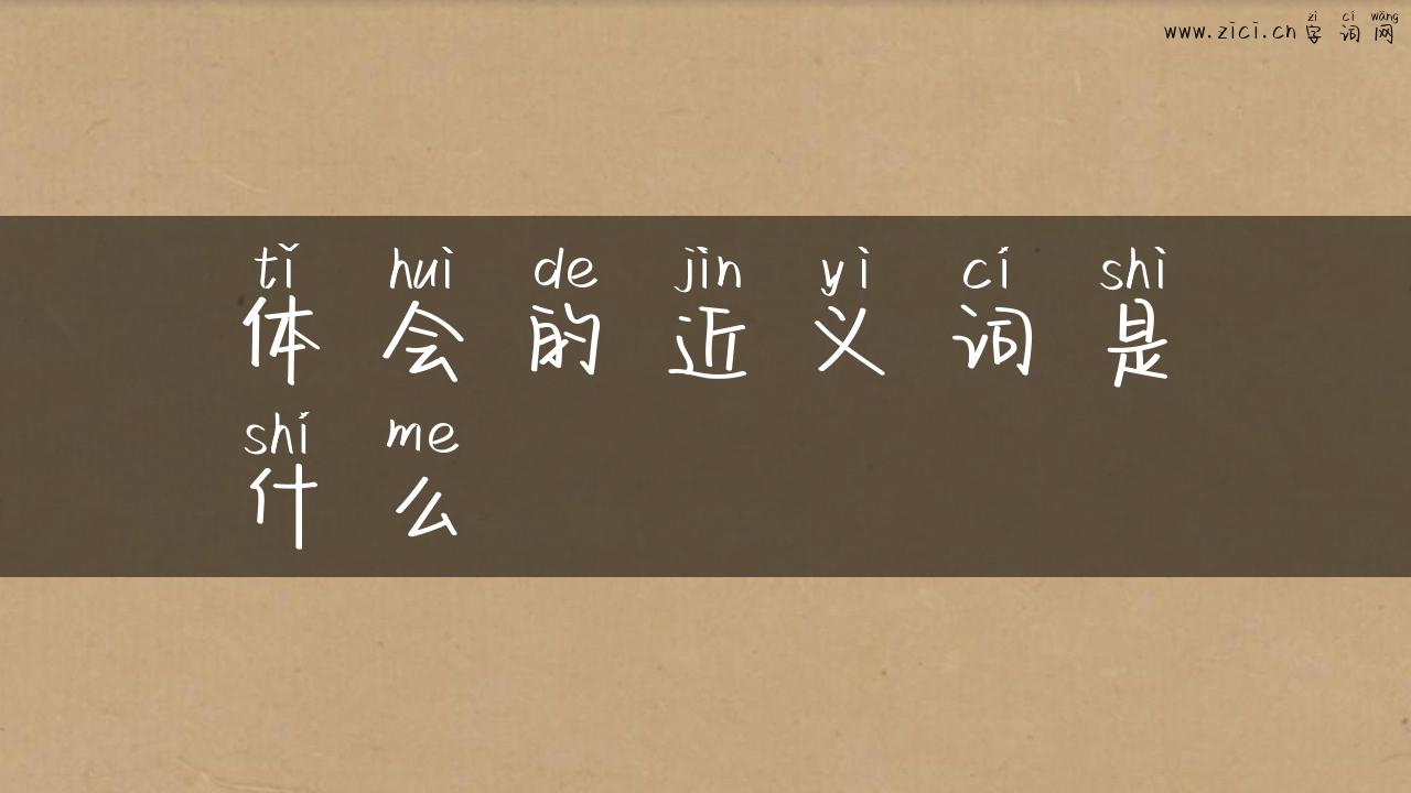 体会的近义词是什么