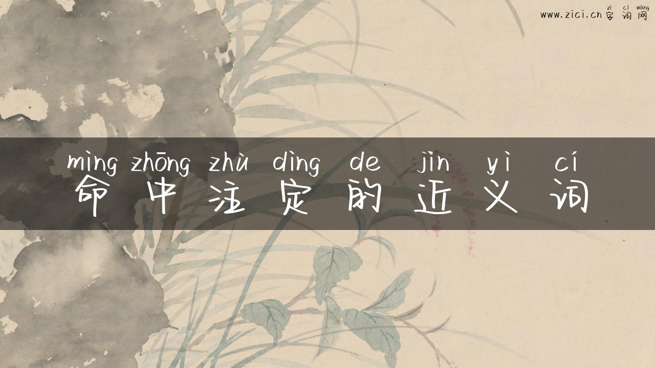 命中注定的近义词