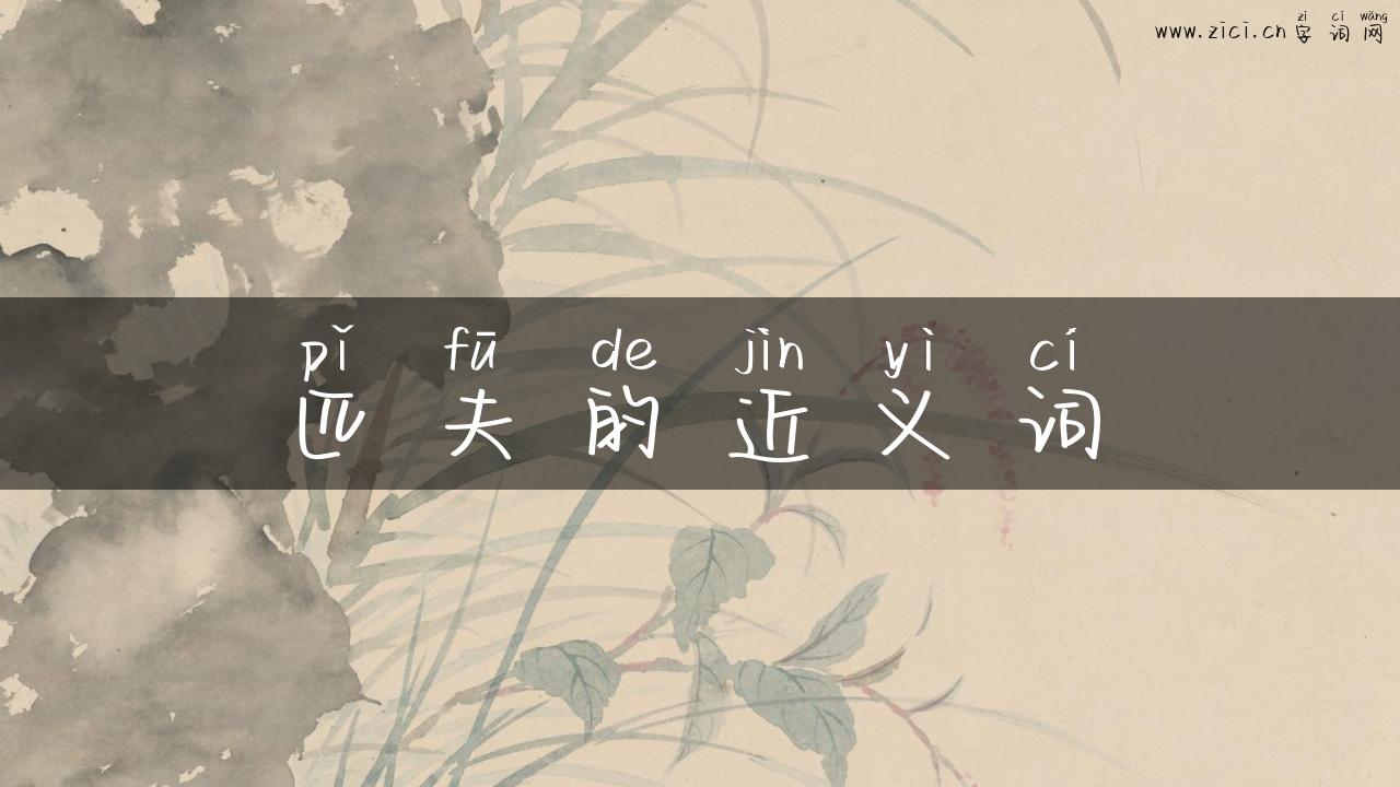 匹夫的近义词