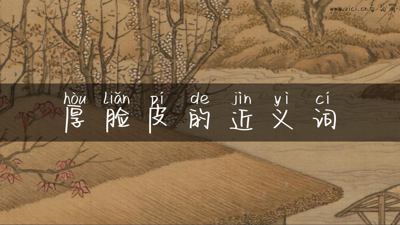 厚脸皮的近义词