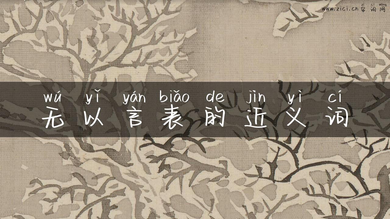 无以言表的近义词