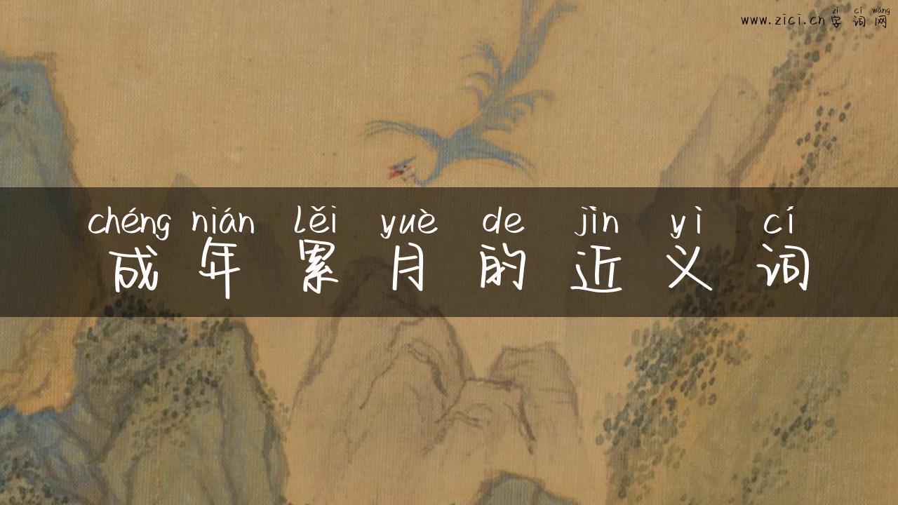 成年累月的近义词