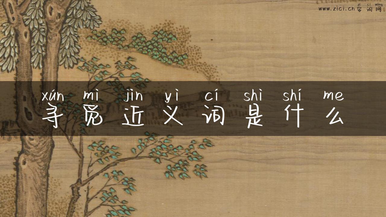 寻觅近义词是什么