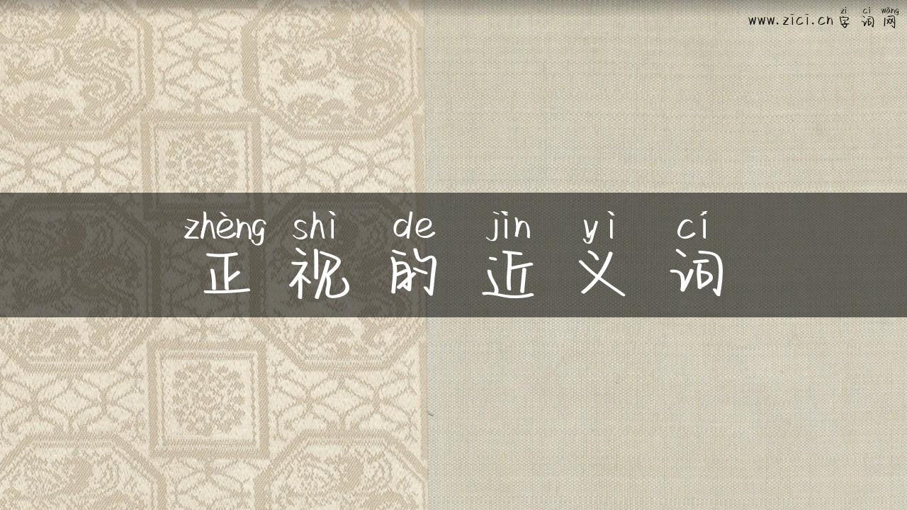 正视的近义词
