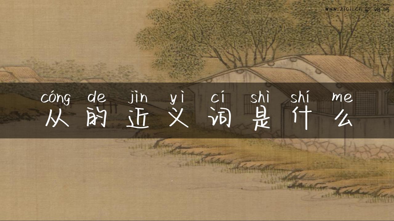 从的近义词是什么