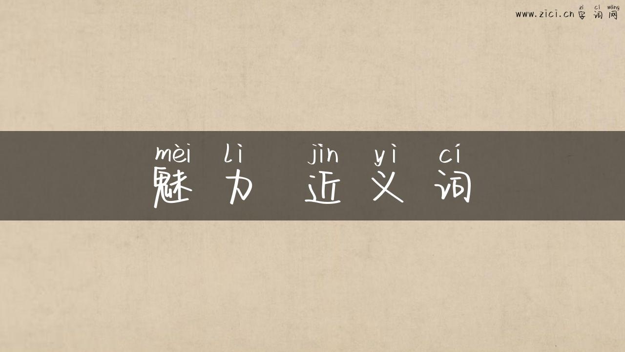 魅力 近义词