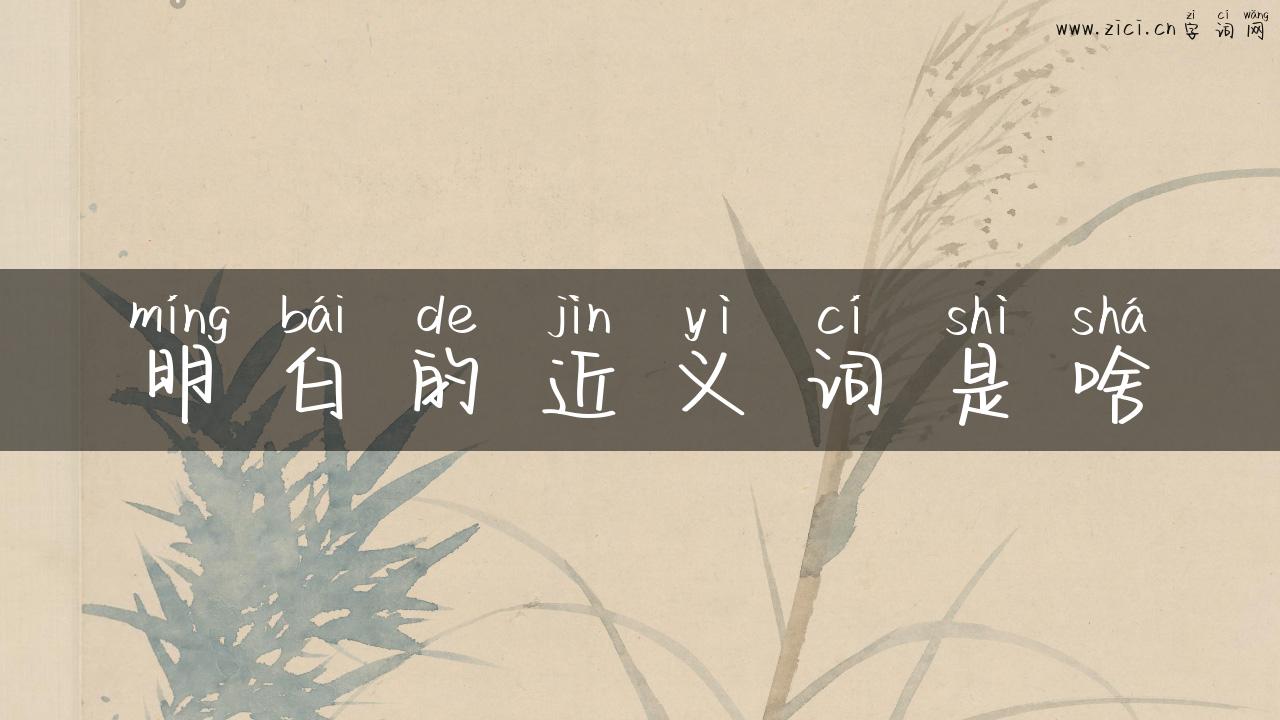明白的近义词是啥