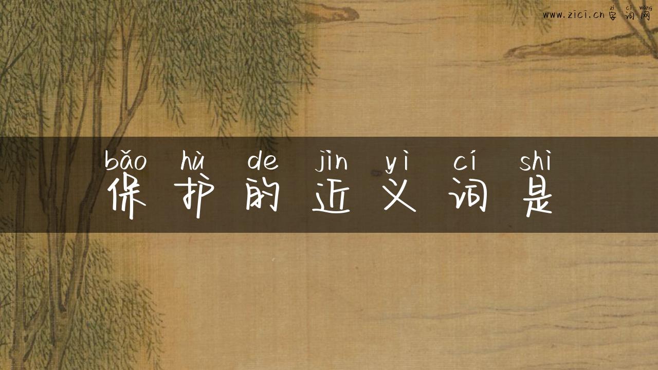 保护的近义词是