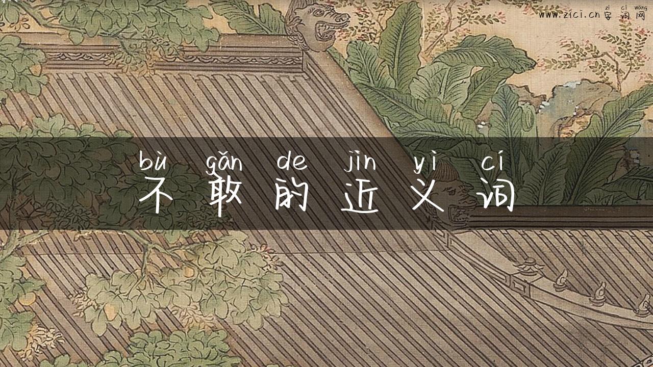 不敢的近义词